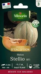 Melon Stellio HF1 - Graines d'Exception